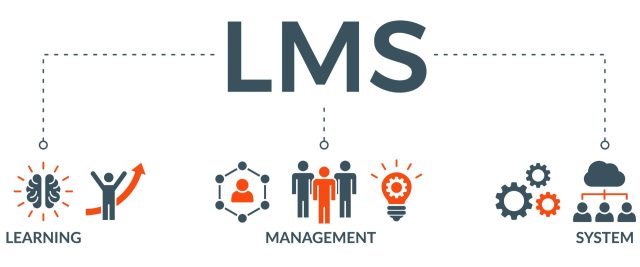 Why the Best LMS is One Built Around Your Business